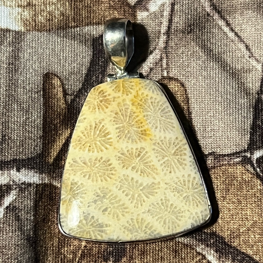 NEW Coral fossil gemstone pendant